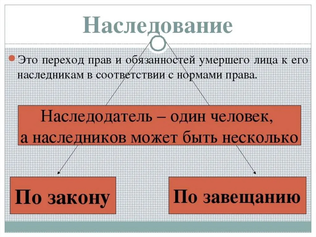 юрист по наследству в Владивостоке